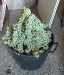 IMG_20190921_085741.jpg