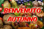 benvenuto autunno.jpg