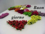 giorno.jpg