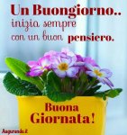buongiorno 10.jpg
