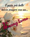 IMG-20191015-WA0001.jpg