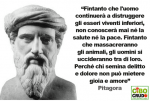 1572207638921.png 1572207638921.png