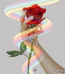 1572439824690.png