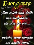 IMG-20191102-WA0002.jpg