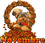 novembre.gif novembre.gif