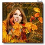fairy-10.jpg