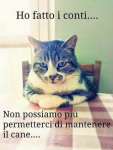 1573060731122.png