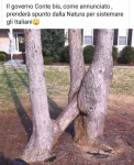 1573082516984.png