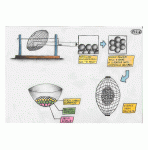 fig.6.gif