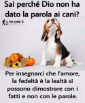 1573996597097.png