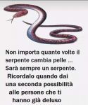 1574173430900.png