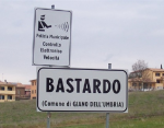1574465007823.png