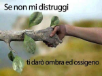1574938067398.png