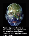 1574938474790.png