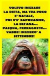 la dieta.jpg