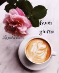buongiorno 11.jpg