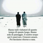 1576101721230.png