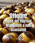 1576101840827.png
