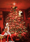 shdr9bu7hxs.gif
