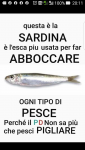 1577568438890.png