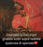 1577771223900.png