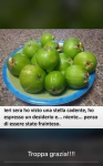 1582029796374.png