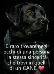 1582031012606.png