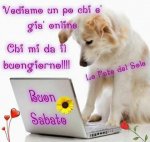 61c556ca9341ddc3a15e44fb7fe39c43.jpg