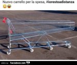nzr0vp4jyr-e-certo-vaccata_a.jpg