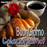 88b16f6b5fc500a98bc5be12f2e64cd7.jpg