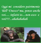 un-esco.jpg