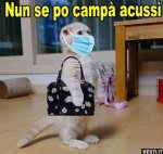 fbbdd04caa75ae8b2b683b062d20cda2.jpg