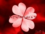 1501portafortuna-1-.jpg