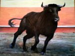 Toro.jpg