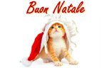 Buon_Natale_9.jpg
