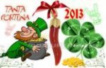 fortuna 2013.jpg