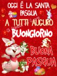 FB_IMG_1586672875094.jpg