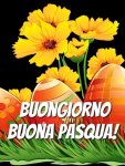 FB_IMG_1586671999506.jpg