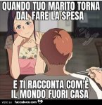 2apkc70rvv-quando-tuo-marito-torna-da-fare-la-spesa-e-ti-racconta-com-e-il-mondo-fuori-buona_a.jpg