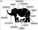 Cattura.PNG