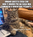 1587740395118.png