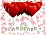 FB_IMG_1547023003498.jpg