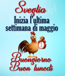 1590381738471.png