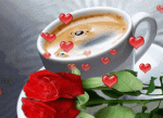 V0.gif