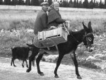 taxi di una volta.jpg