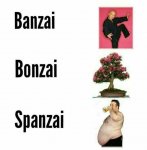 banzai,bonzai,spanzai.jpg