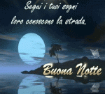 Buonanotte-immagini-stupende-3-300x270.gif