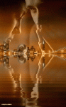 91fae5dc922a8d1da025421839cbd65f.gif