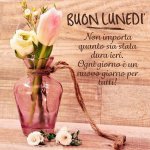 Buon-lunedi-001-800x800.jpg