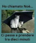 Buongiorno-Piove-24.jpg